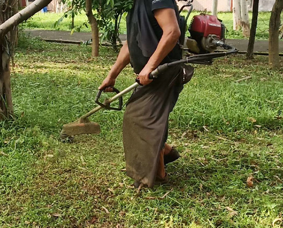 除草保洁